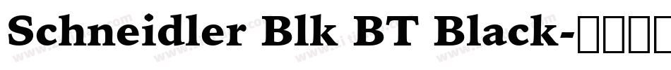 Schneidler Blk BT Black字体转换